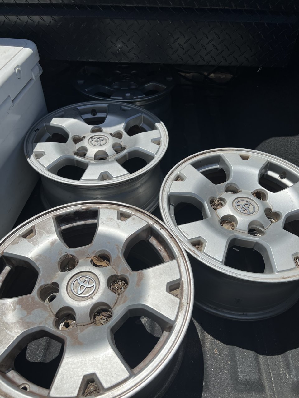 8CAB382D-F1A1-4502-9AE5-41AEEC8D85FC.jpg
