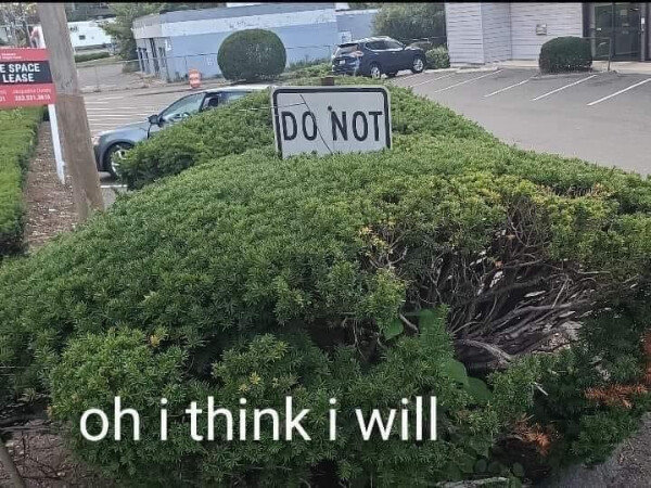 8CCBEB0D-0695-4F63-8402-F7DD9DE661E8.jpg