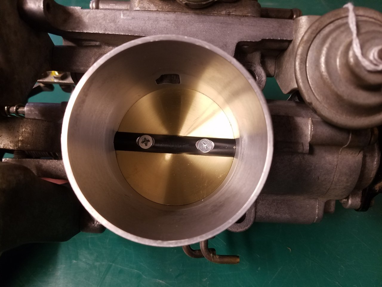 8CF959DE-88AB-47FA-8DA7-3F6D20C74316.jpg