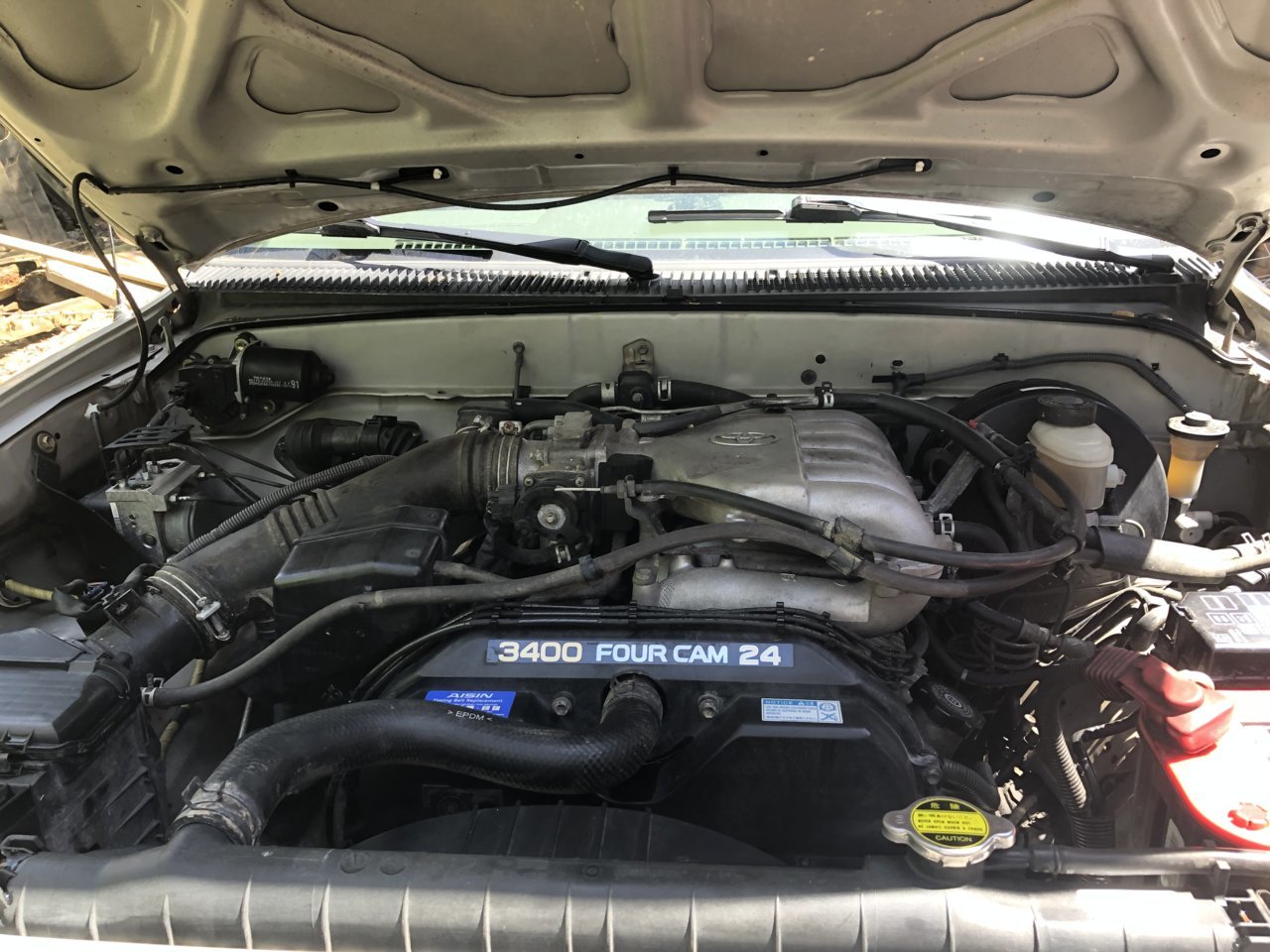 8D98CFCF-BDFA-4270-BB56-11250BF9C923.jpg