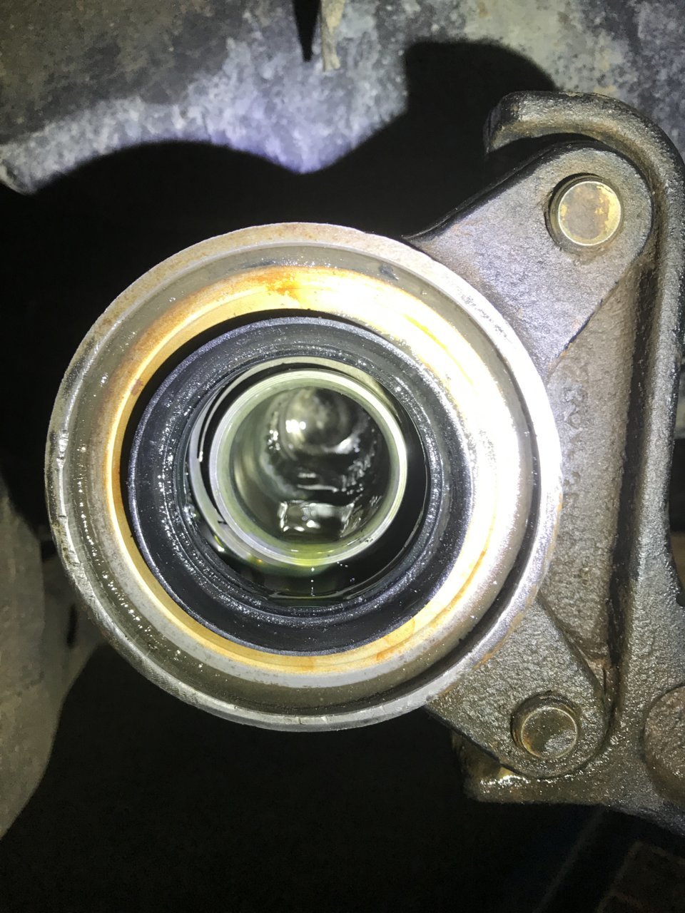 8DAF1CAD-8063-41AB-B4E2-8CAD75C2CBF8.jpg