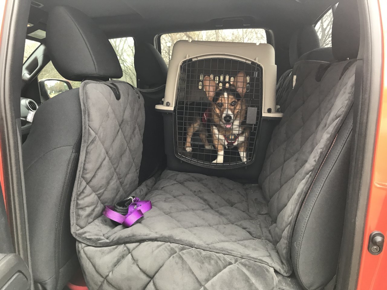 Dog car hotsell seat covers bunnings