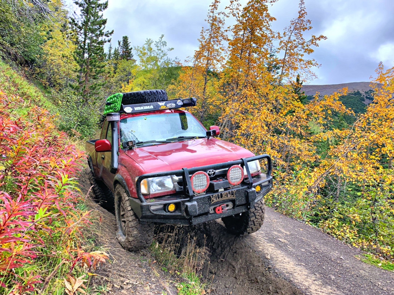 8E5F5B59-CA60-4239-83E4-38F283535F28.jpg