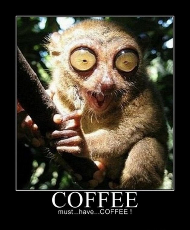 8eb266a63df5417b1e2f0a5c67b216f2--need-coffee-coffee-time.jpg