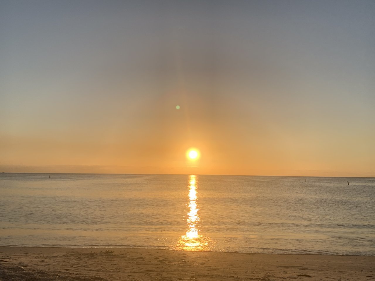 8FA34882-FF42-4433-B5F0-41105F98277B.jpg