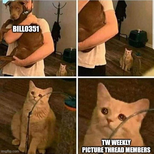 8isyo0.jpg