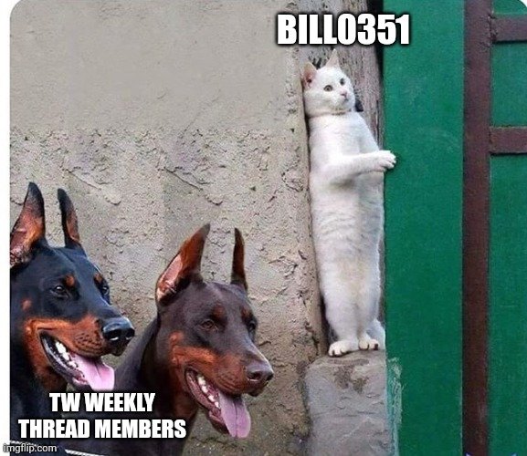 8it3rq.jpg