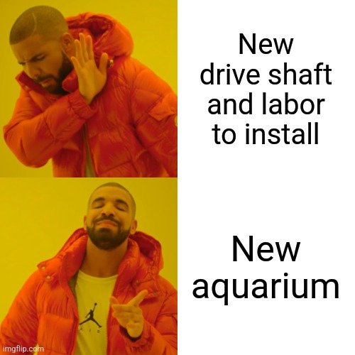 8ll01x.jpg