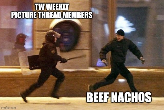 8mtvfg.jpg