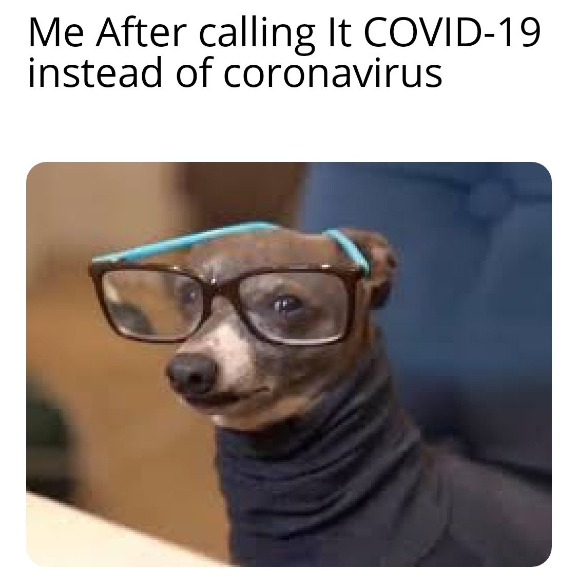 8oxxytfykip41.jpg
