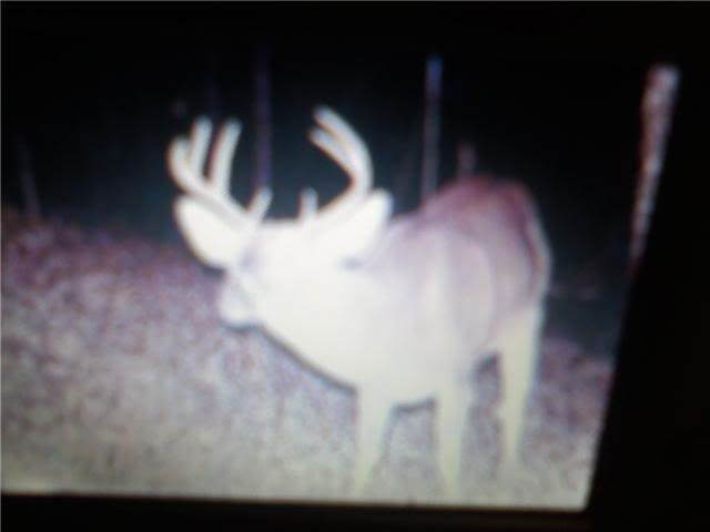 8point-1_07f04dc390ce794a6fe6f70e2a69c267860412c2.jpg