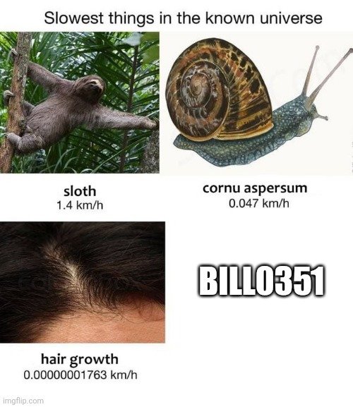 8qo5ei.jpg