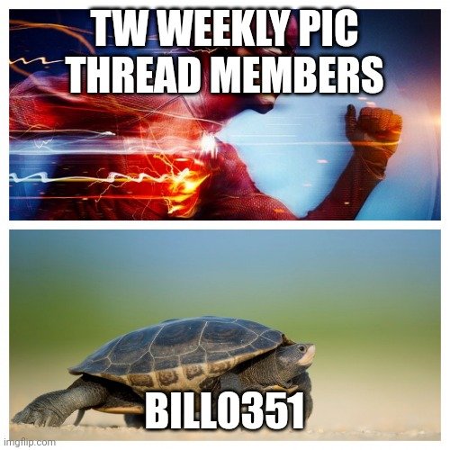 8qo5nm.jpg