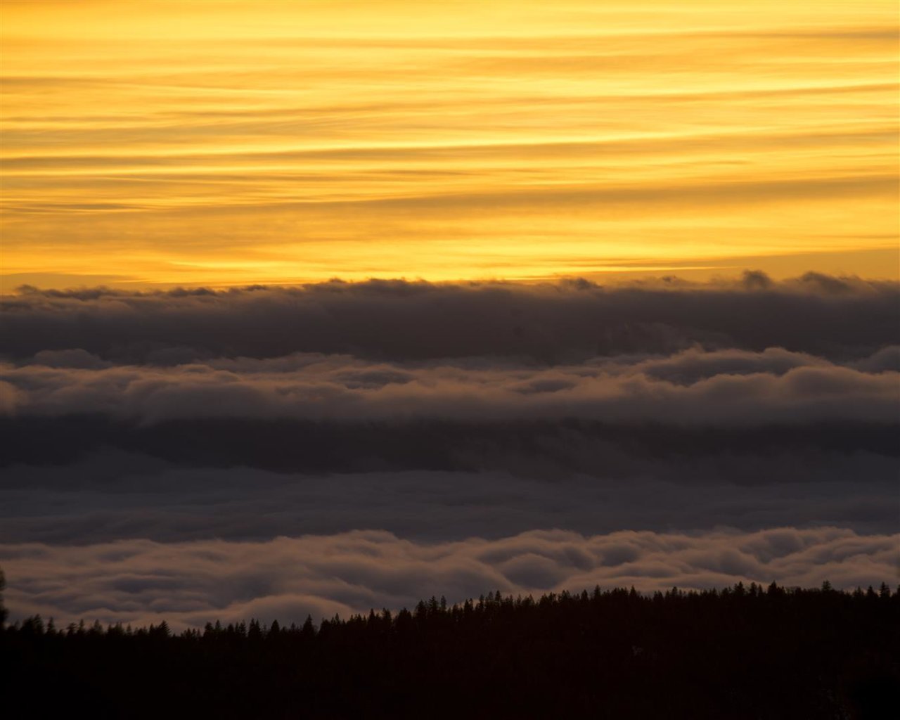 8x10-sunset-DSC_9473 (Large).jpg