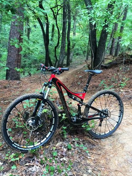 9-13 BIKE.jpg