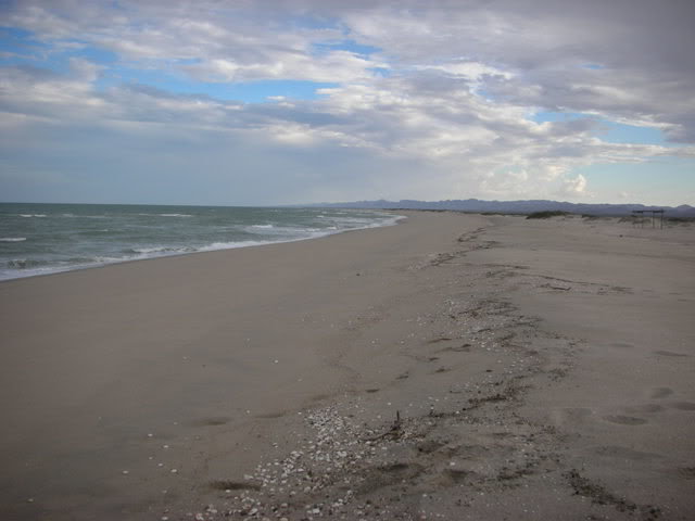 908044_6ce2c68db9cb9708f61655bf97dbf586b4504de3.jpg