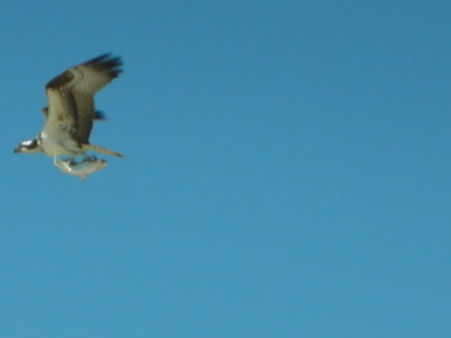 908076_b415d16015cae36cf0669ca7240fcb7112ac6eb9.jpg