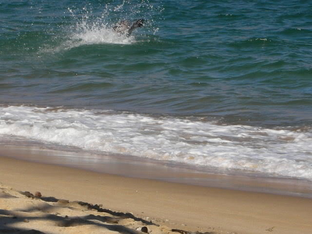 908128_b0fe64d7bb321ebf916fa937c4780d039e6aaafe.jpg