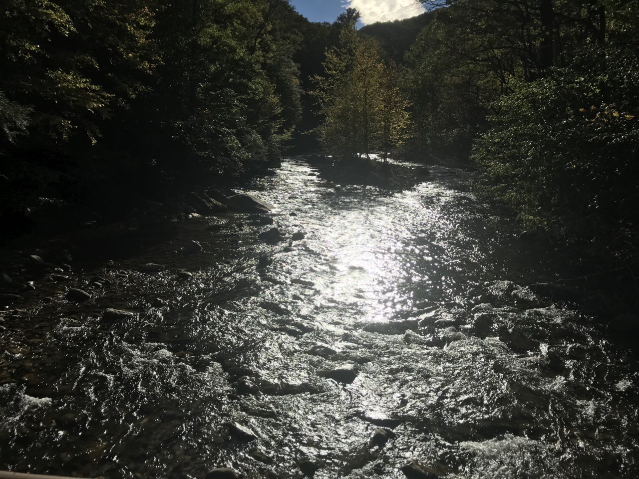 90B79333-F309-4D64-823E-7DF845444D09.jpg