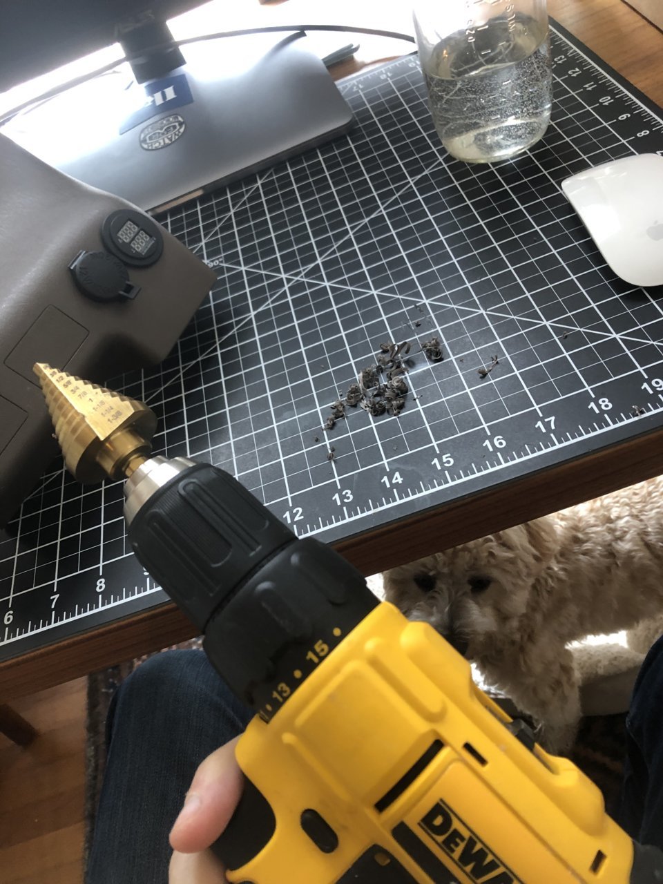 90E38899-C1E0-492C-A5CF-A75406FCB7FA.jpg