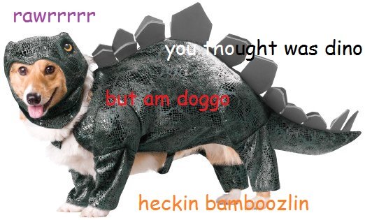91+TXA3WnKL._SX522_.jpg