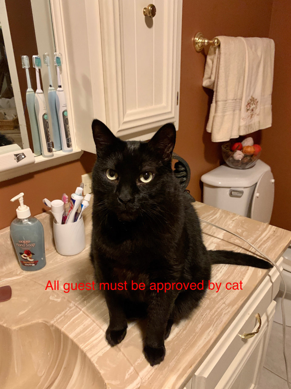910D9B79-BE09-4422-95C4-29C37AA3DF74.jpg