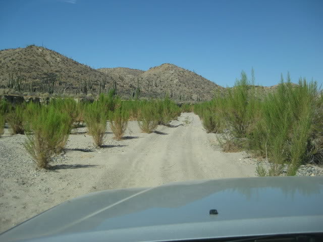 910LasPintas033_f072189016ce85965e49b757eb4e07d659ec0147.jpg