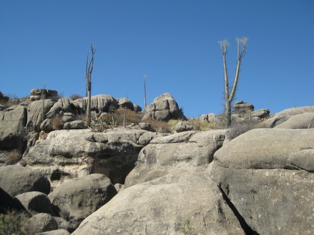 910LasPintas044_1c9bdd65efc459e57bb0f401963f1b6ace86662e.jpg