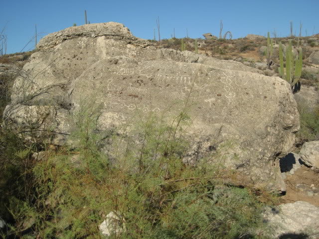 910LasPintas069_762b7373156e11c5e25f03aaea3fb43e09ca5257.jpg