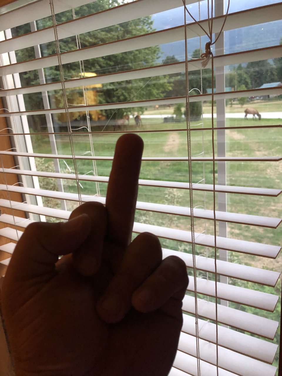 91231D0A-C141-4A8A-BF47-07DAAA88DBAD.jpg