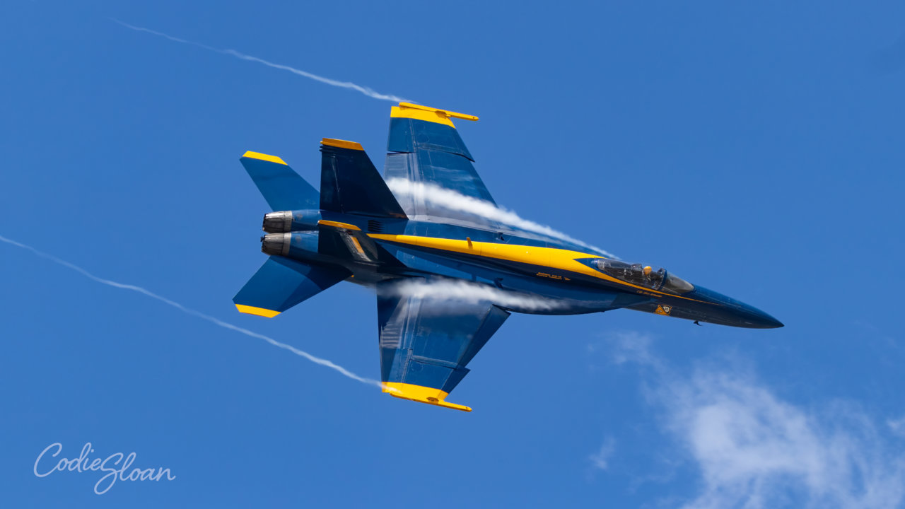 9126FD52-E066-4468-B545-437C1CD18A11.jpg