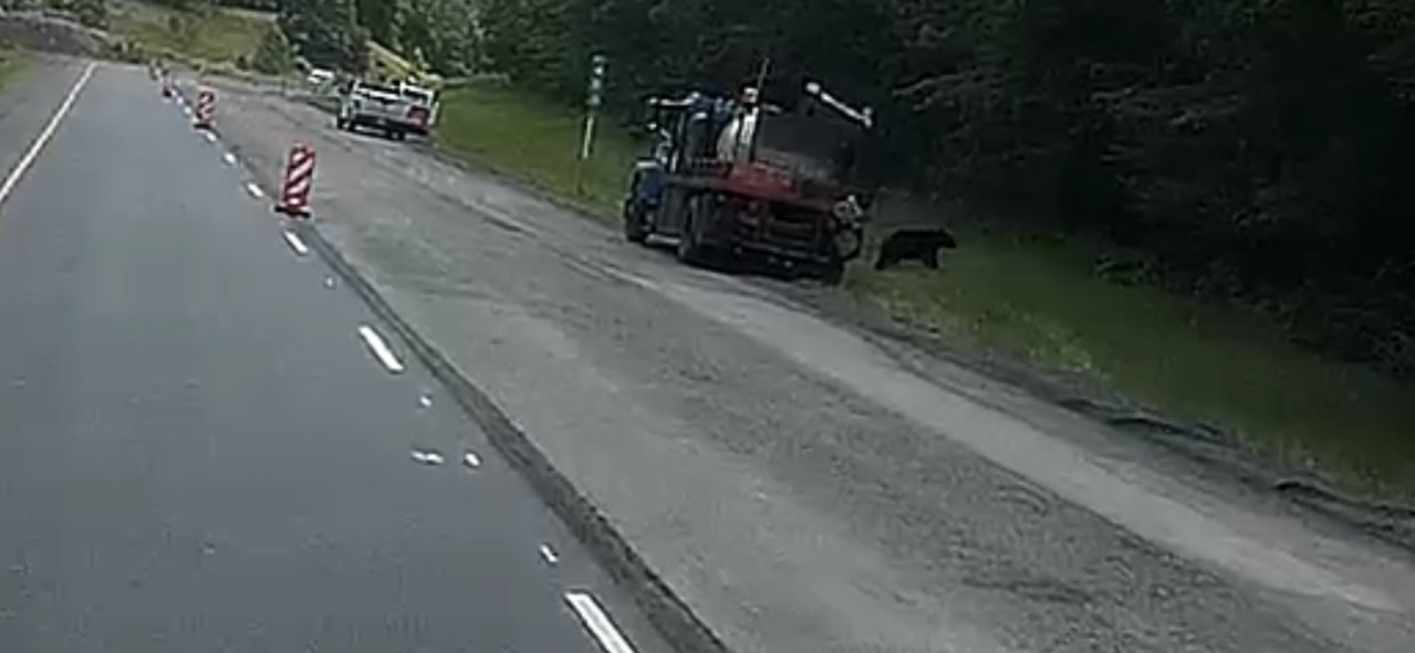913F28D8-35D5-43DE-95BA-EB48BD9EB61A.jpg
