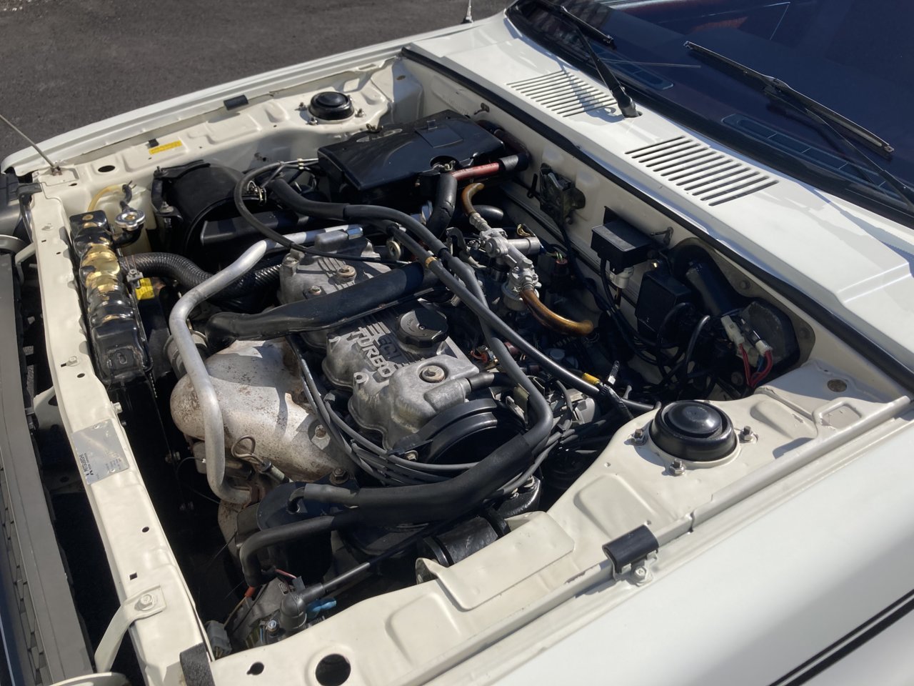 9143E579-FEBE-4F27-922B-13346121A633.jpg