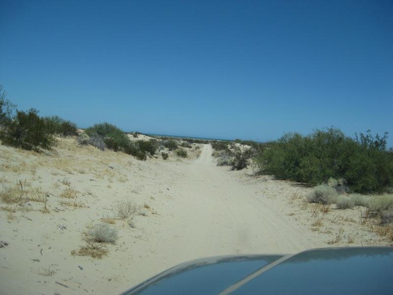 914Shell012_41bb821baef8e1834355db7e7b0f23bdd22868fa.jpg