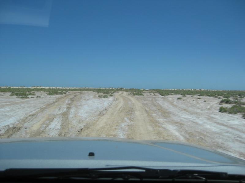 914Shell013_691bab1f7d71644e2d62a81dbfd64768723e9320.jpg