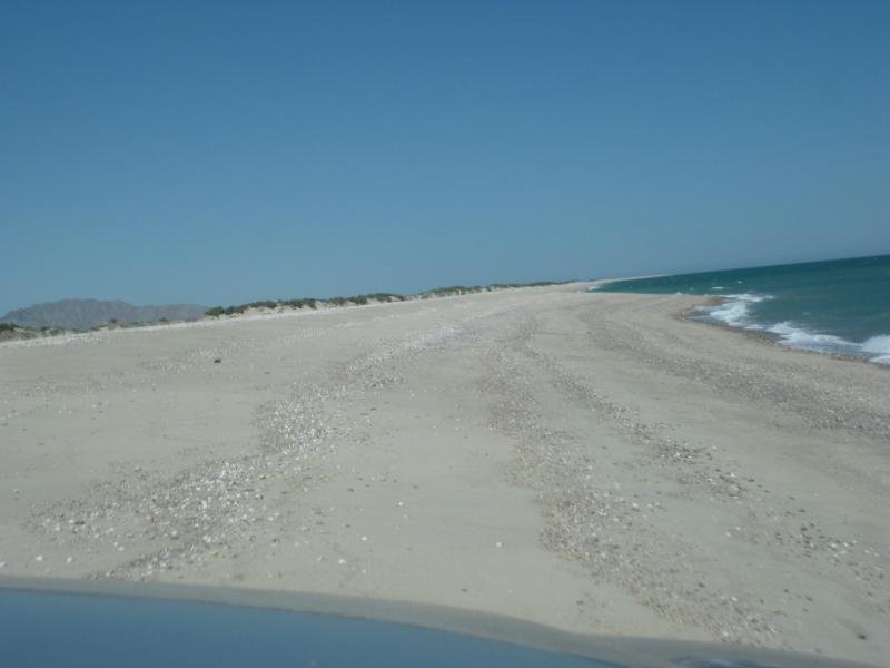 914Shell016_2ba1ceadb25779f00ee772650916b723eda3f86c.jpg