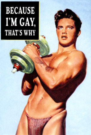 9154BecauseImGayPosters.jpg