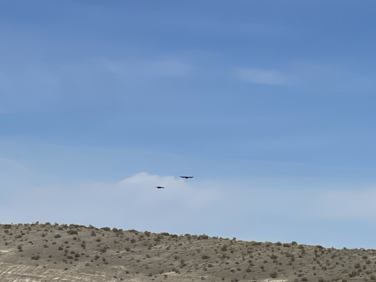 91DD995B-CDAE-4D95-BF97-A3AB52D6F0D1.jpg