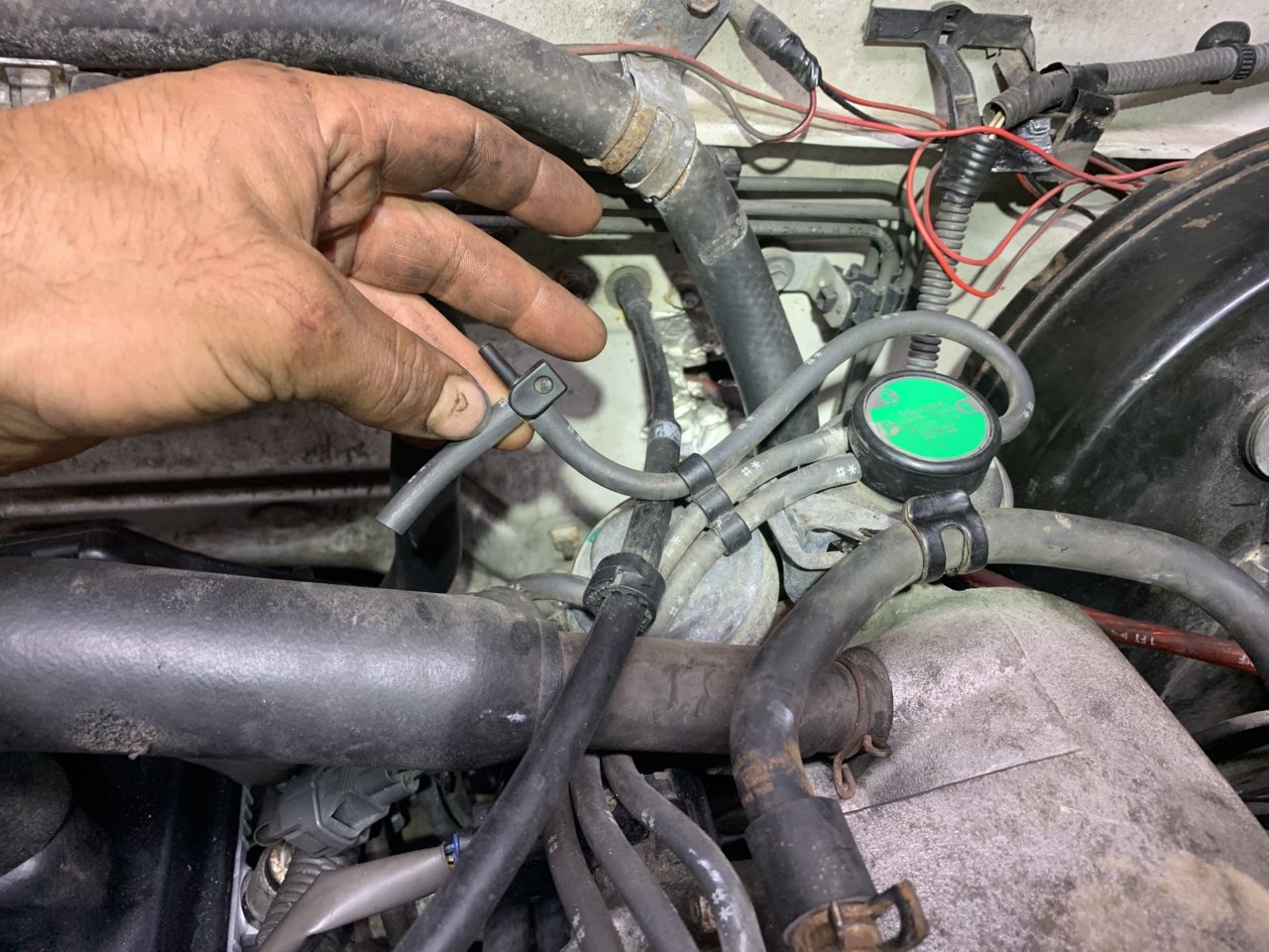91E70FC9-3E5E-45D6-A3EC-291F007CAE8C.jpg
