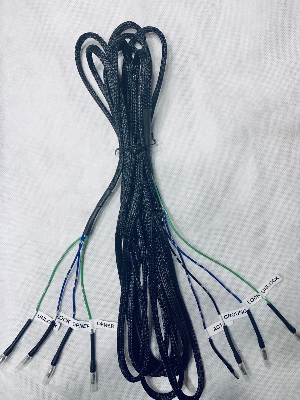 91F12367-44DD-4546-B0E4-5066F9261516.jpg