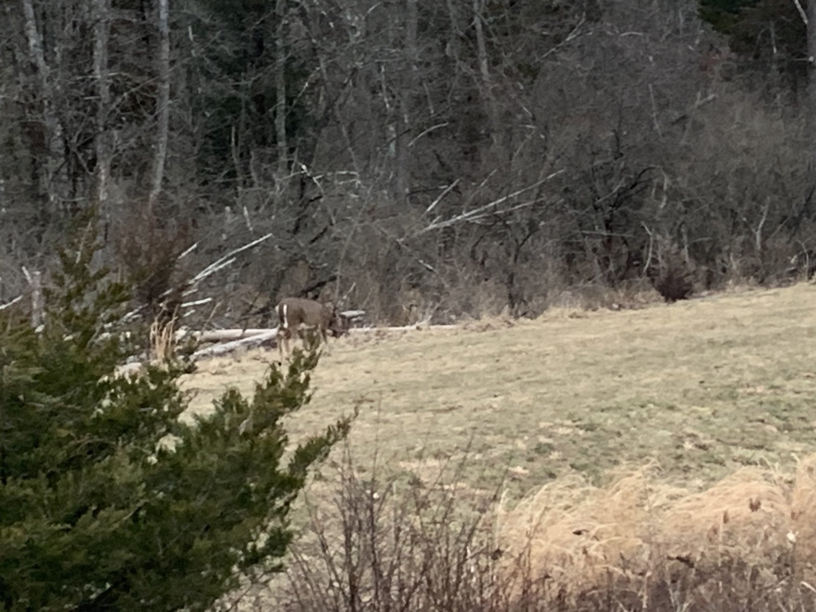 9216E0D0-78B4-4F5F-A9B1-88EF894CD258.jpg
