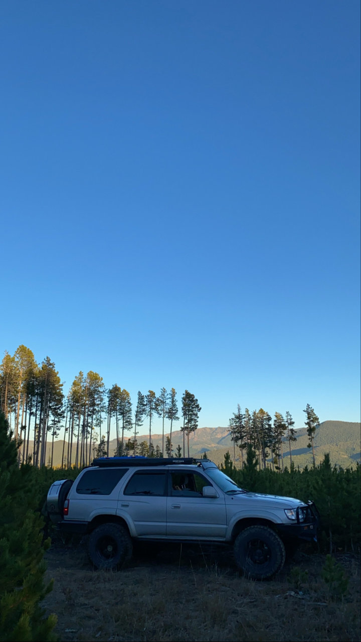 9254DAA7-ACF0-4F04-8D40-1027A6EC3C7A.jpg