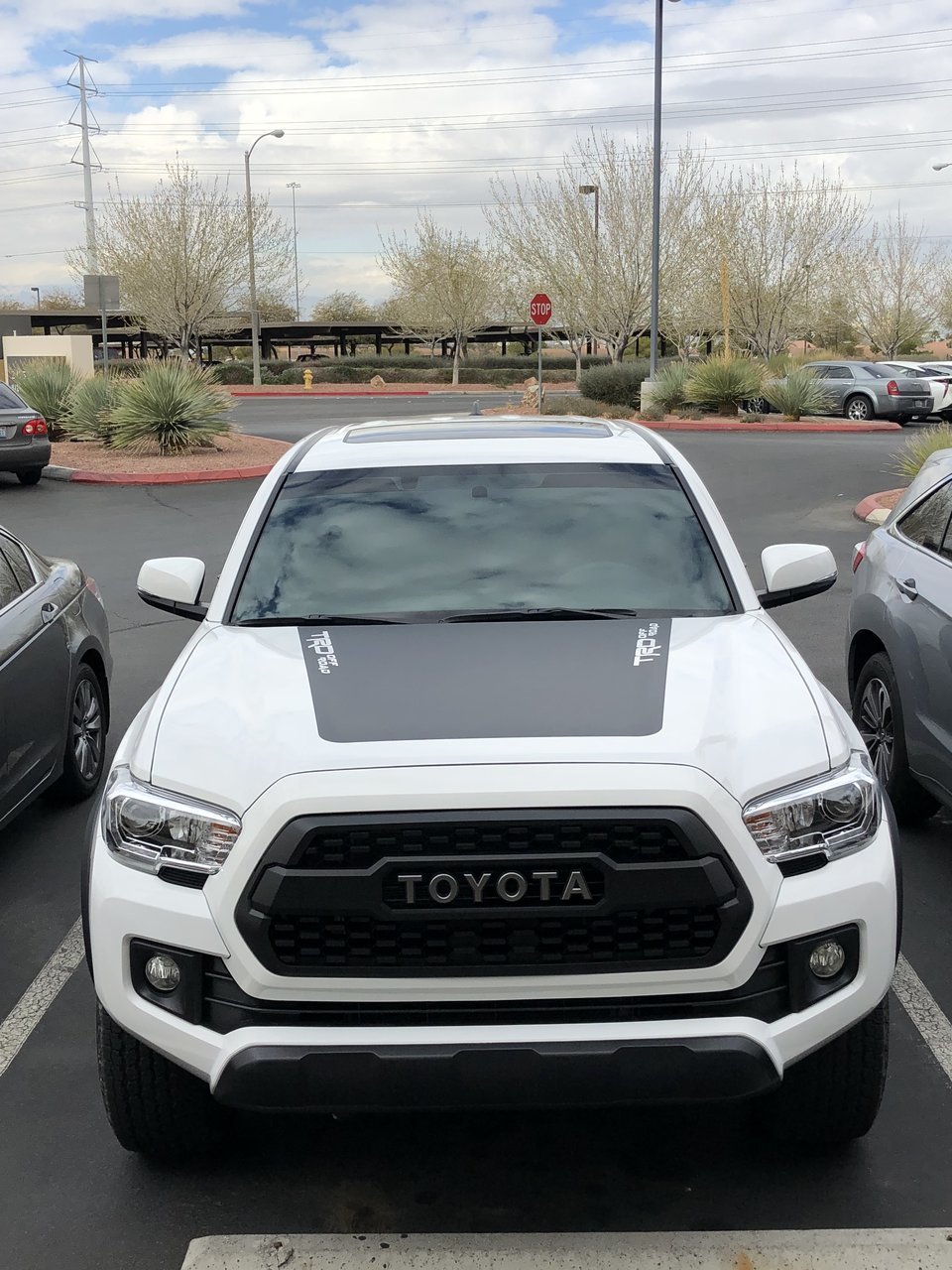 Toyota Tacoma Hood Decal Toyota Tacoma