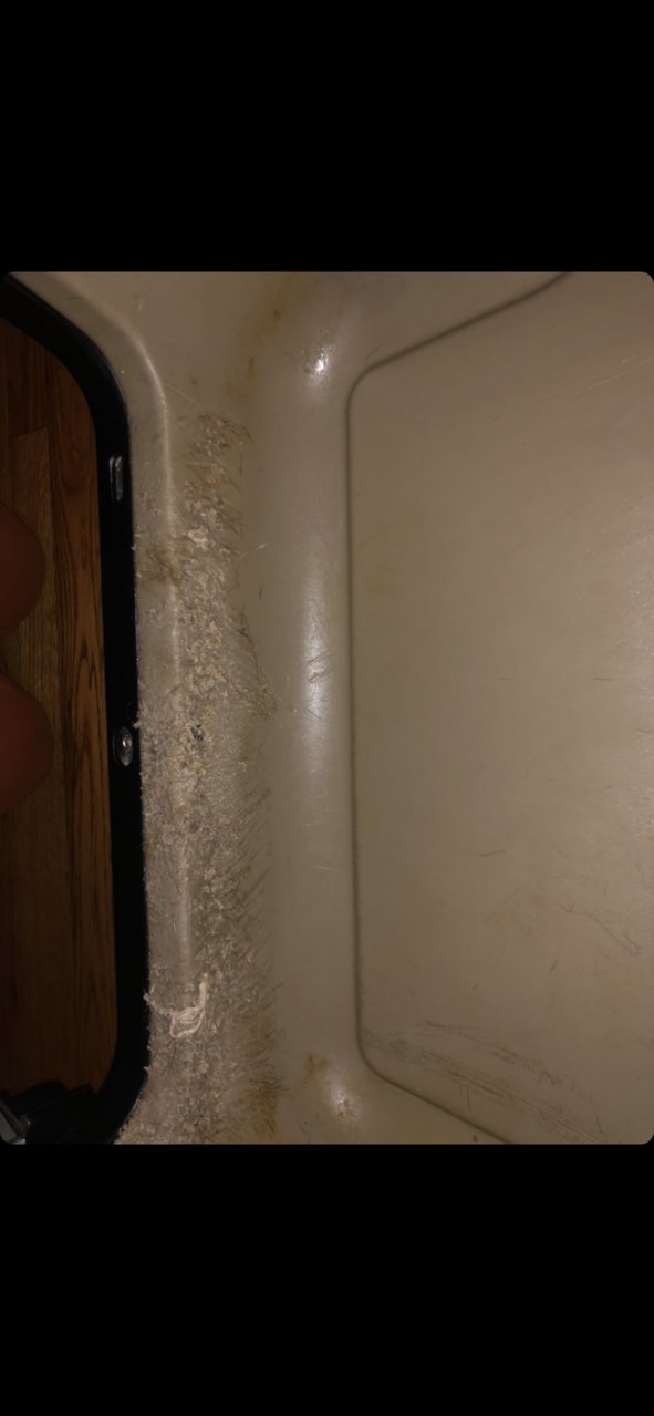 9286D758-568C-4177-8C59-FFEBC502F1C0.jpg