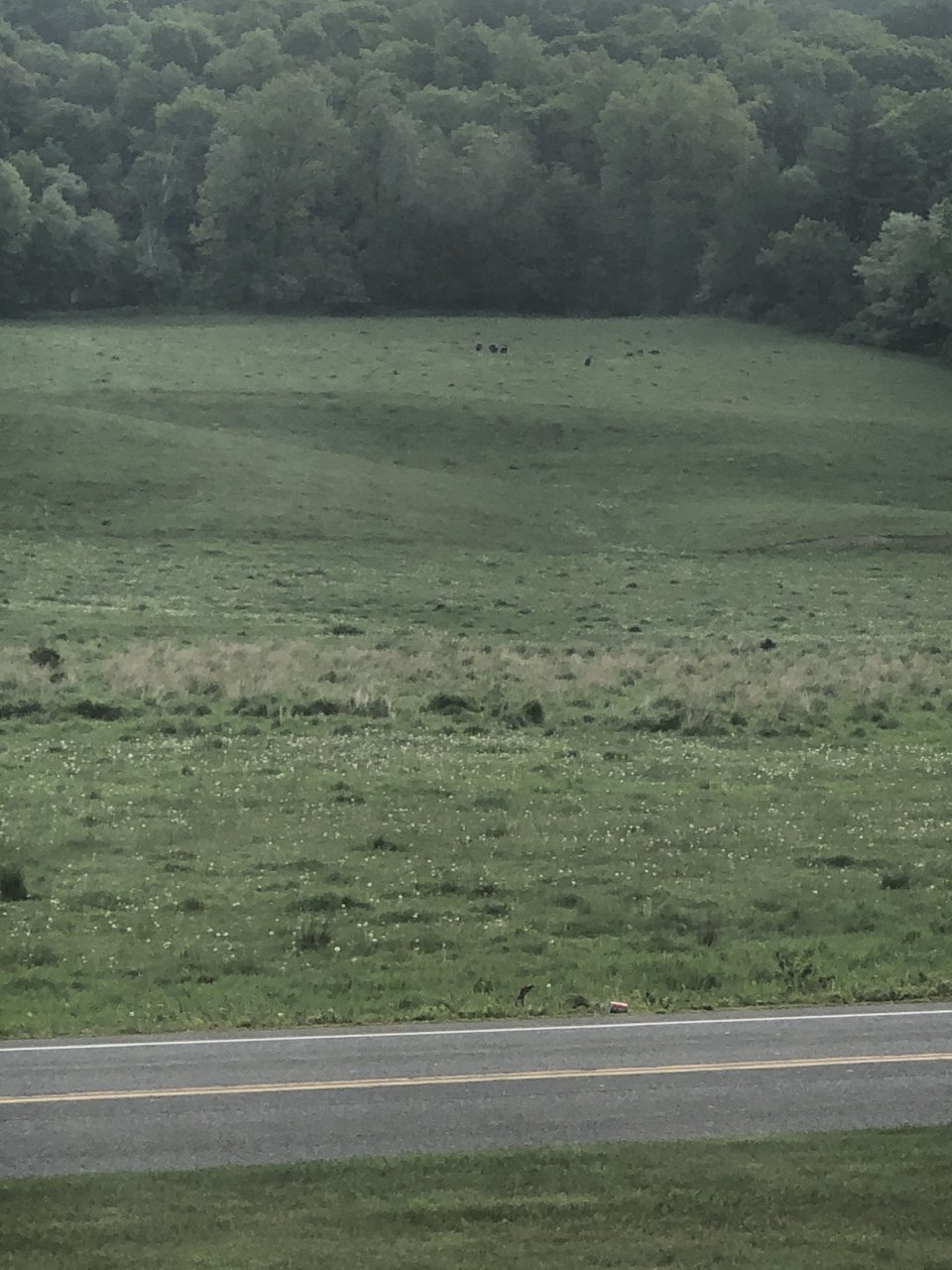 92955D09-AE63-486D-8C07-B43984E32B99.jpg