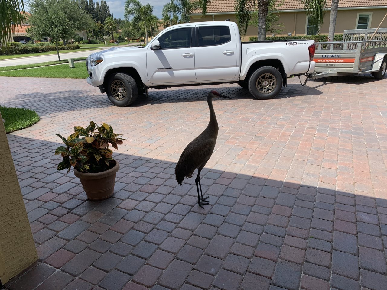 92B55F02-7B69-4051-A8E9-81DF52627BD4.jpg