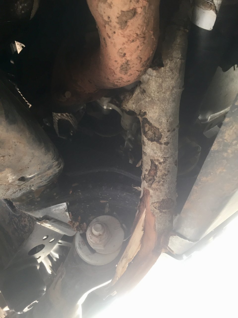 92CD120F-983F-4D12-9CDD-599AA625CAC7.jpg
