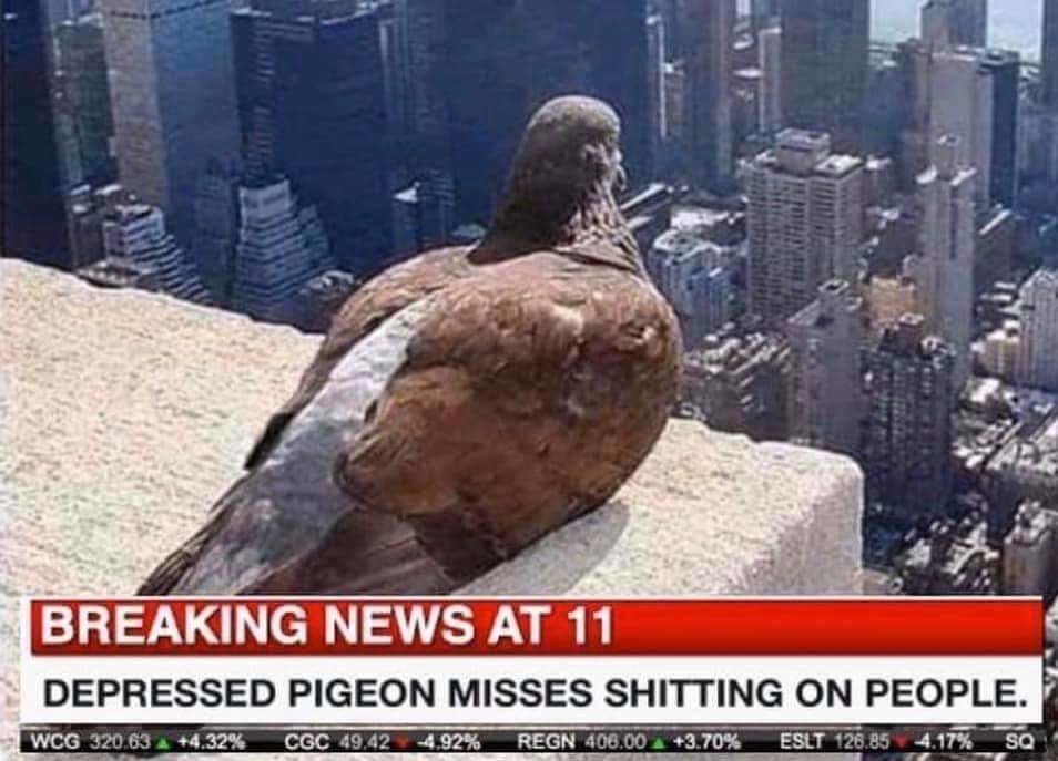 93383937_10221017300279917_314479944954544128_n.jpg