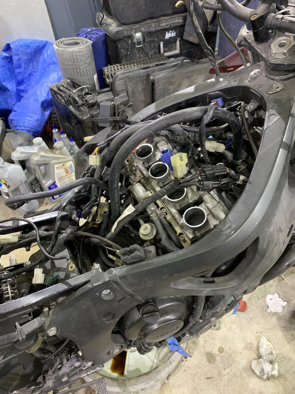 935BF0B2-78DB-4911-A200-7E1C60BC2D4A.jpg