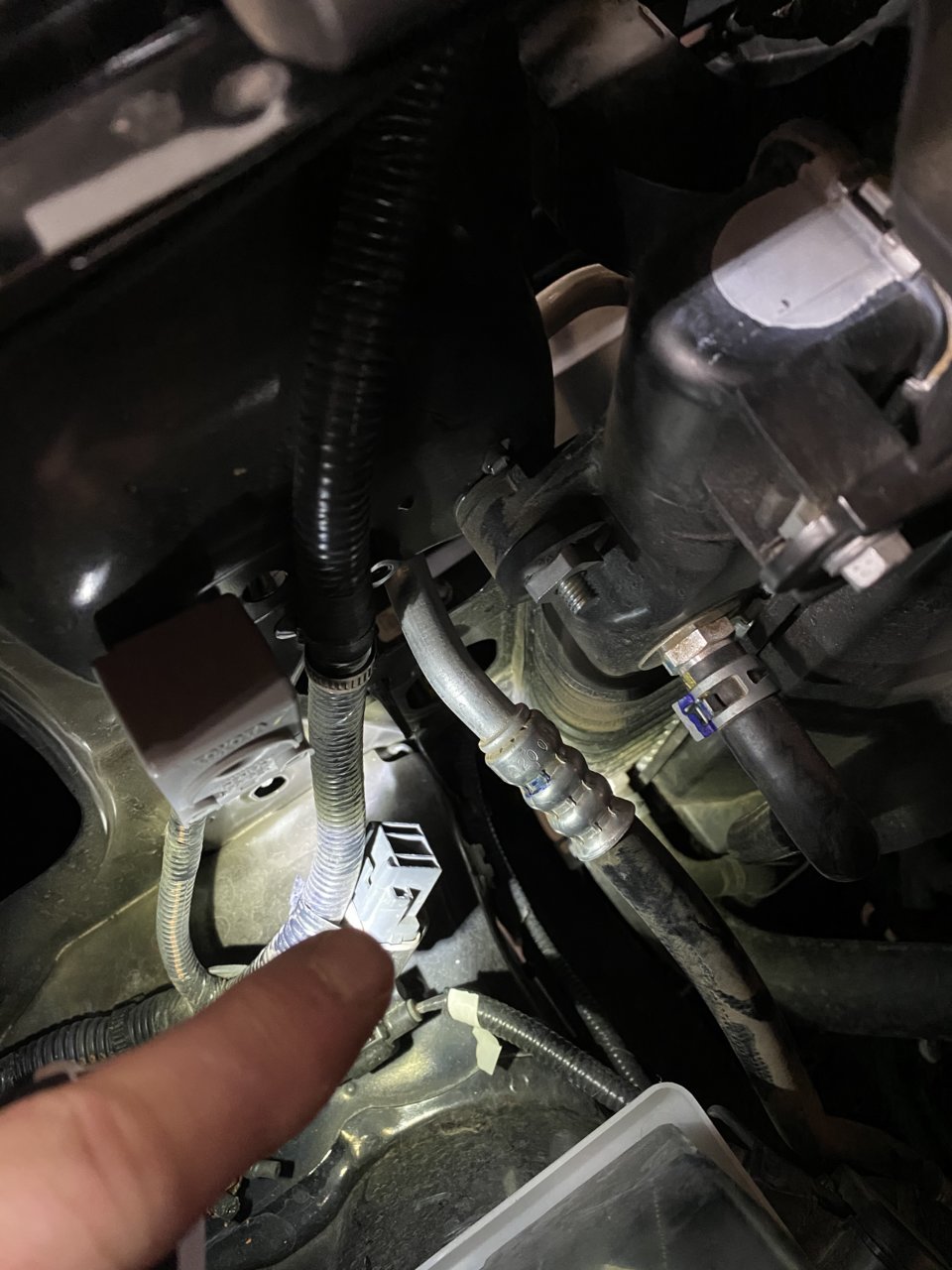 93CC486E-E848-4B4E-9B91-23ECCA76AA9F.jpg